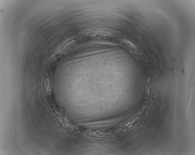 X0000085240774200703231623