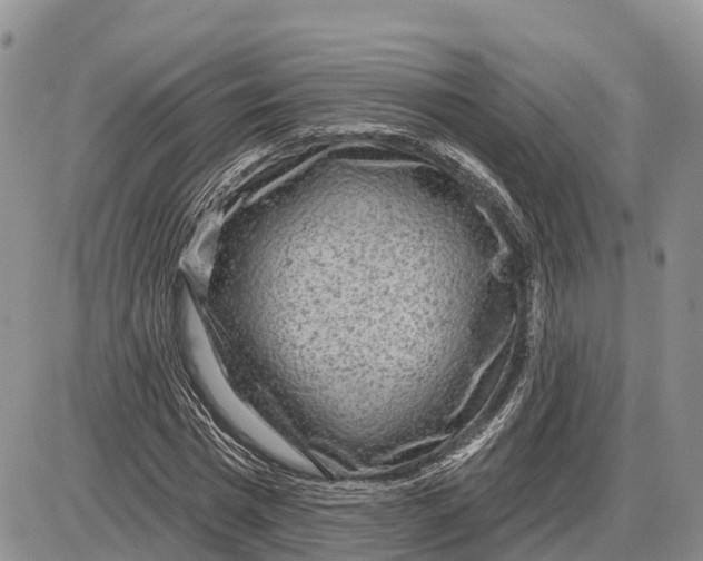 X0000085240777200703231623