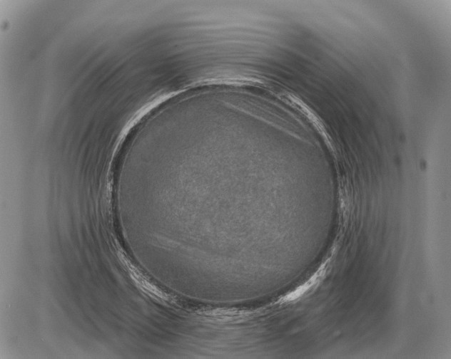 X0000085240779200703231623