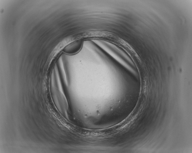 X0000085240786200703231623