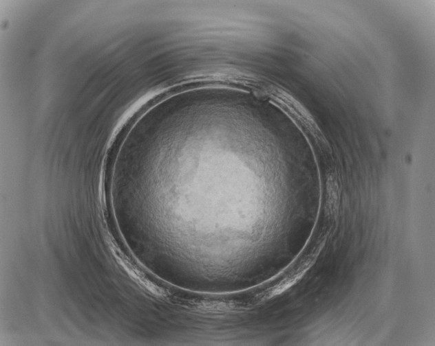 X0000085240788200703231623