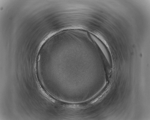 X0000085240797200703231623