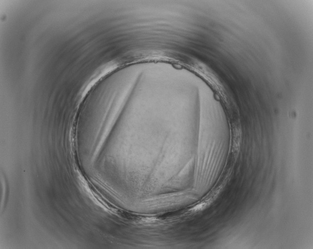 X0000085240806200703231623
