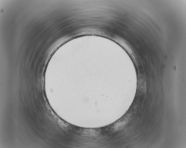 X0000085240807200703231623
