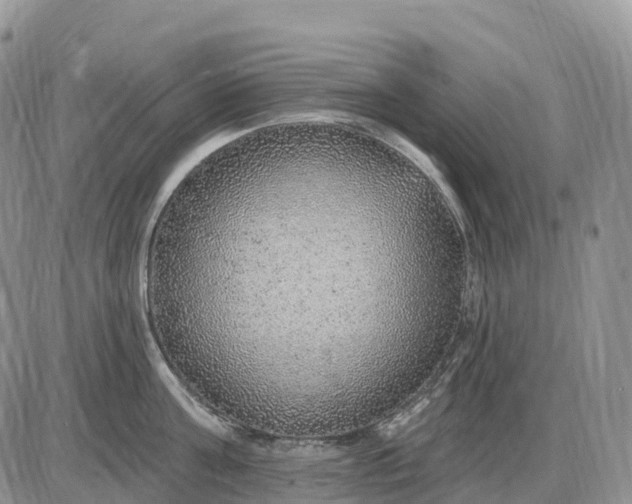 X0000085240811200703231623