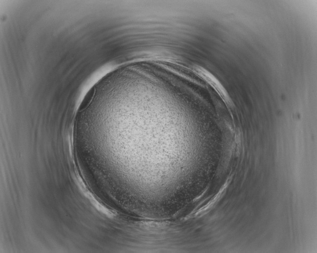 X0000085240812200703231623