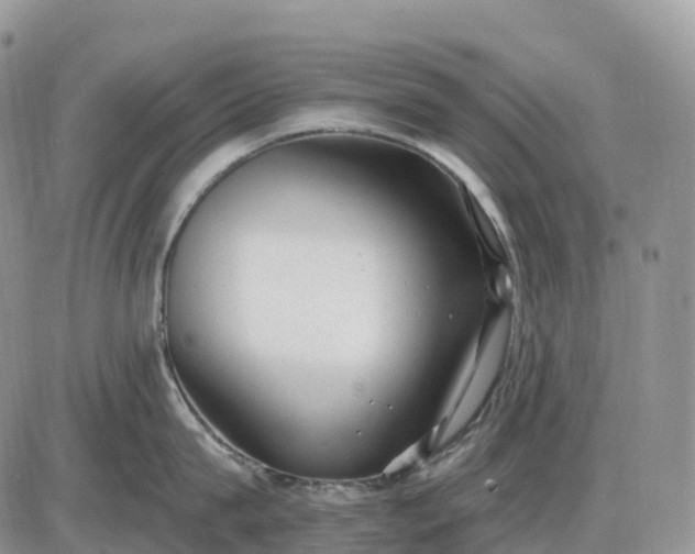 X0000085240815200703231622