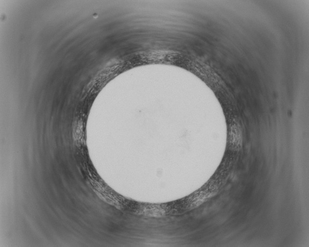 X0000085240820200703231622