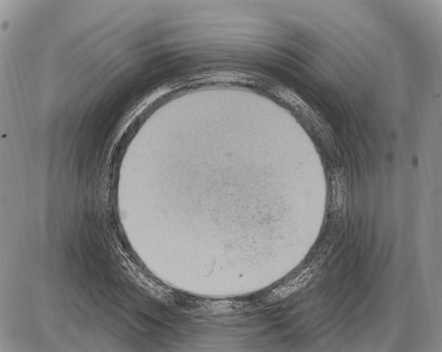 X0000085240828200703231622