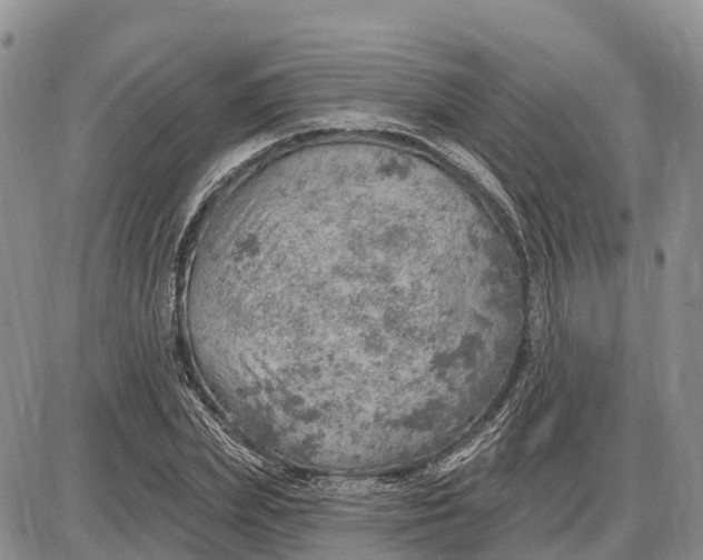 X0000085240831200703231622