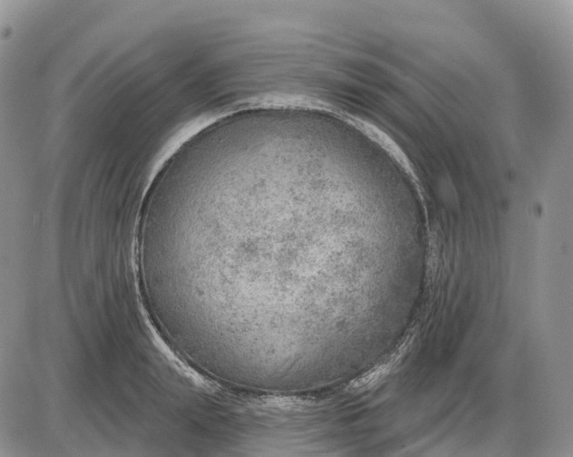 X0000085240847200703231622