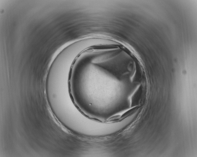 X0000085240862200703231622