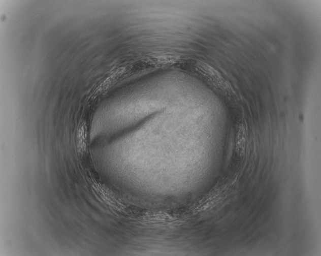 X0000085240866200703231622