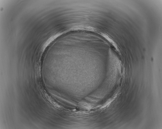X0000085240877200703231621