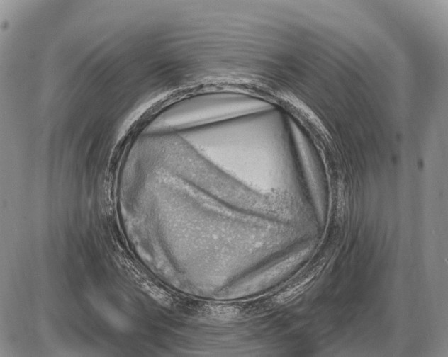 X0000085240878200703231621