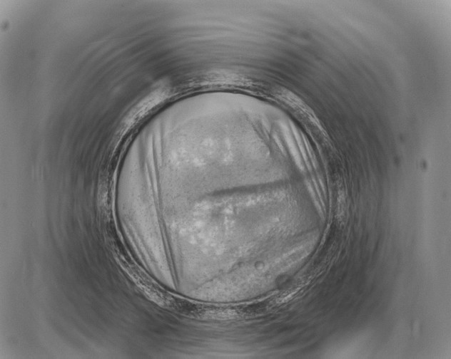 X0000085240882200703231621