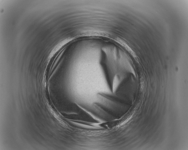 X0000085240885200703231621