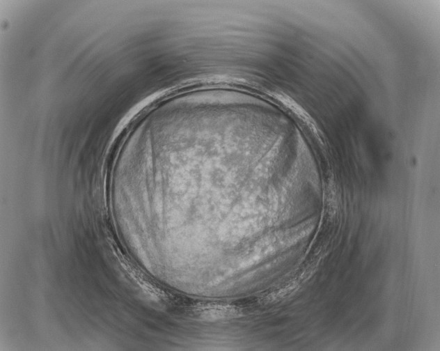X0000085240886200703231621