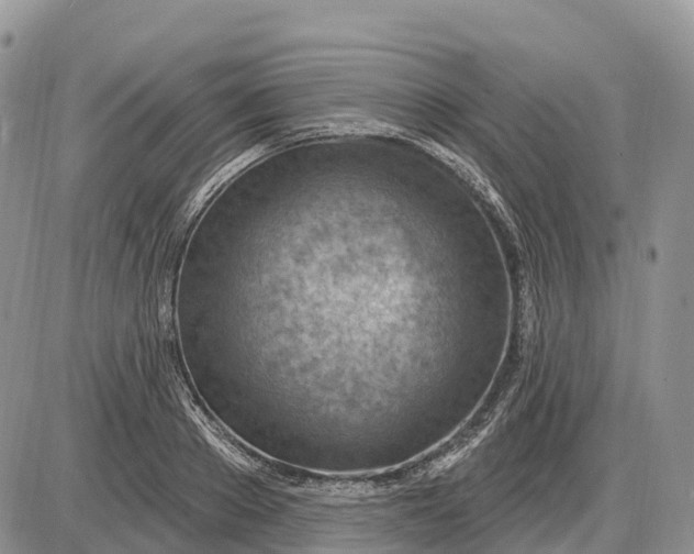 X0000085240889200703231621
