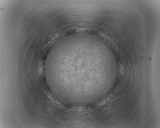 X0000085240914200703231620