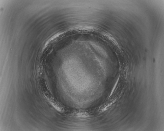 X0000085240920200703231620