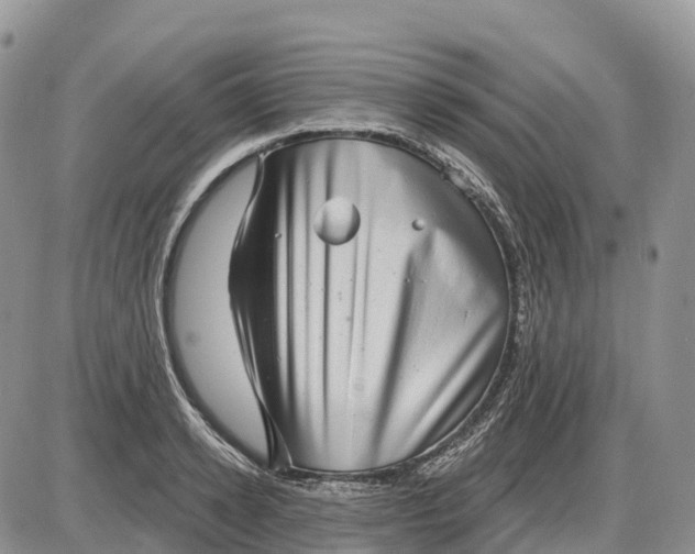X0000085240942200703231621
