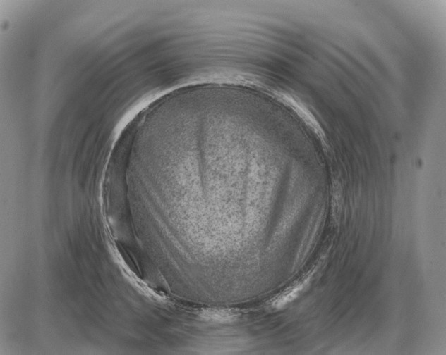 X0000085240944200703231621