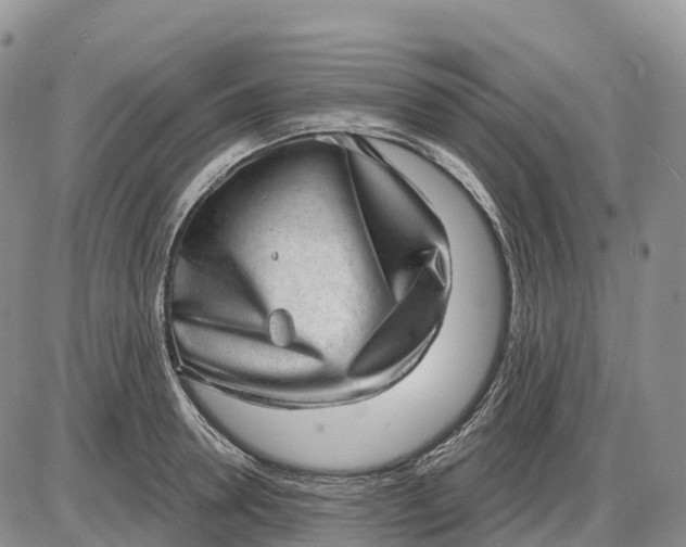 X0000085240946200703231621