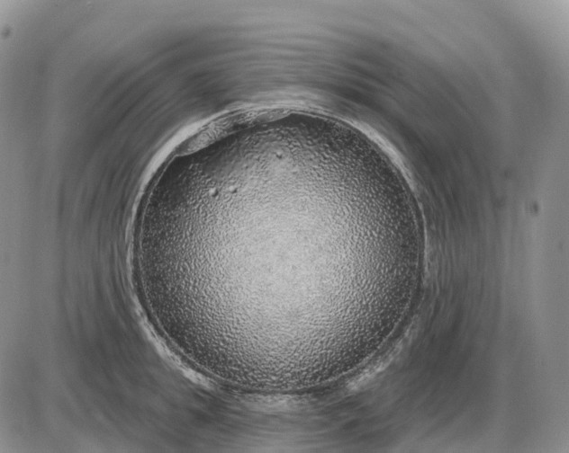 X0000085240949200703231621