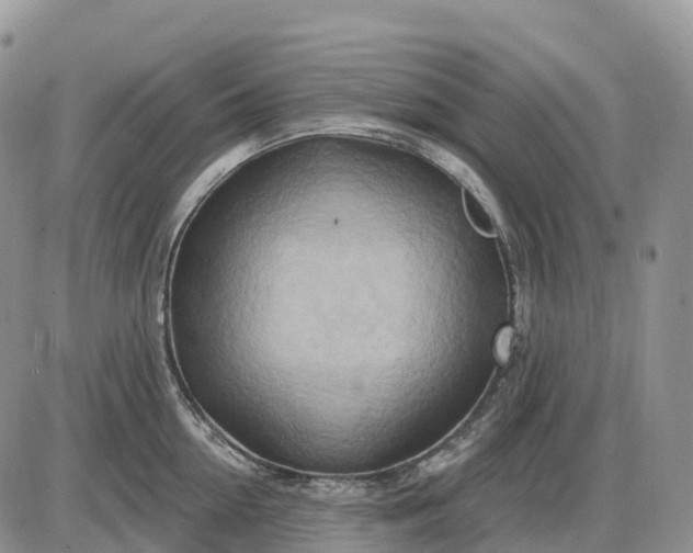 X0000085240954200703231621