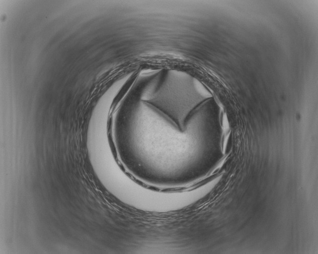 X0000085240965200703231620