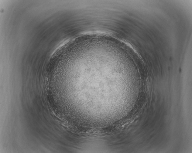 X0000085240967200703231620