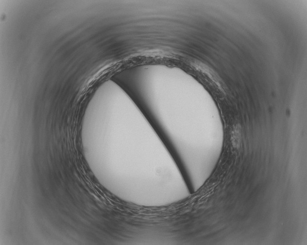 X0000085240968200703231620