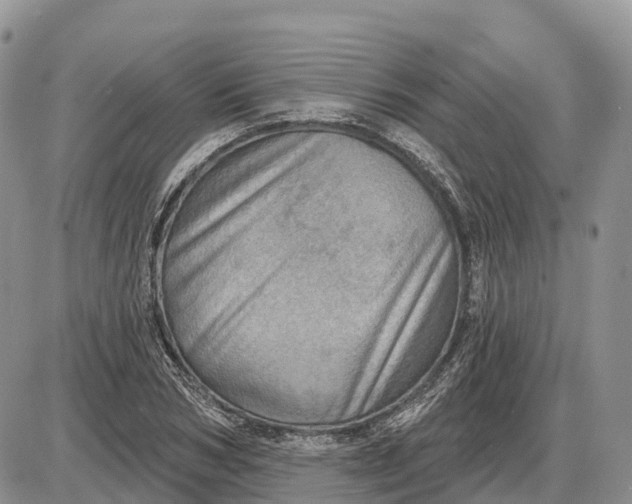X0000085240978200703231620