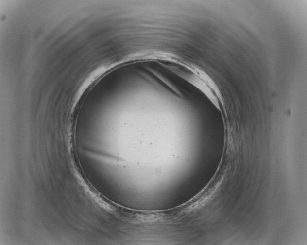 X0000085240997200703231619