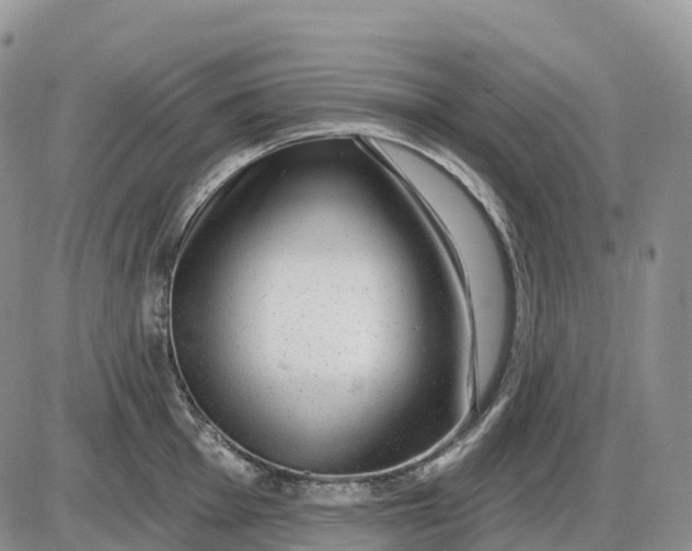 X0000085241001200703231619