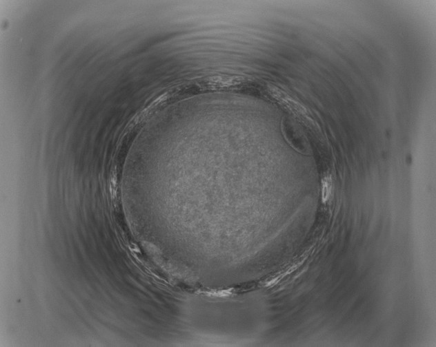 X0000085241011200703231618