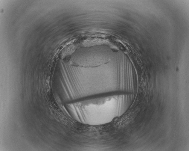 X0000085241013200703231618