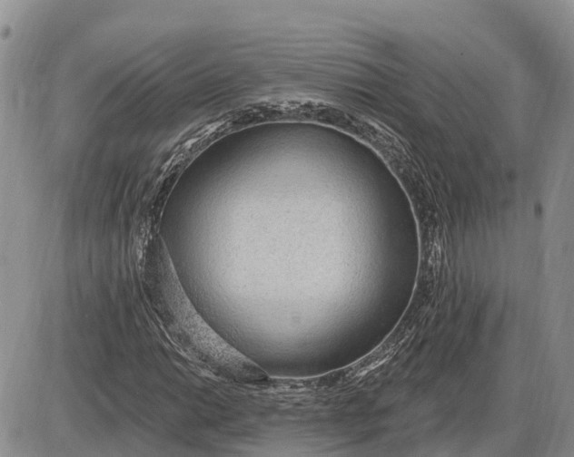 X0000085241014200703231619