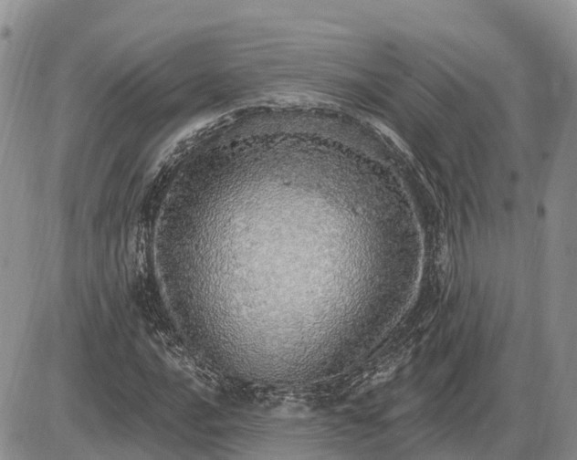 X0000085241016200703231619