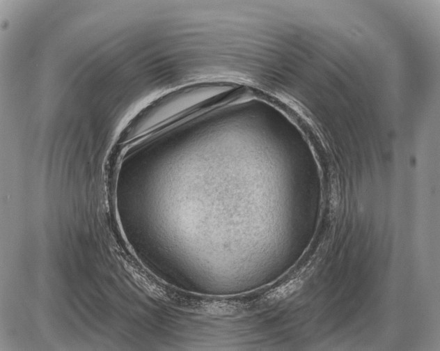 X0000085241022200703231619