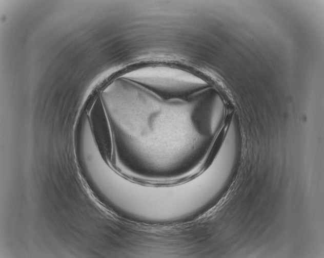 X0000085241030200703231619