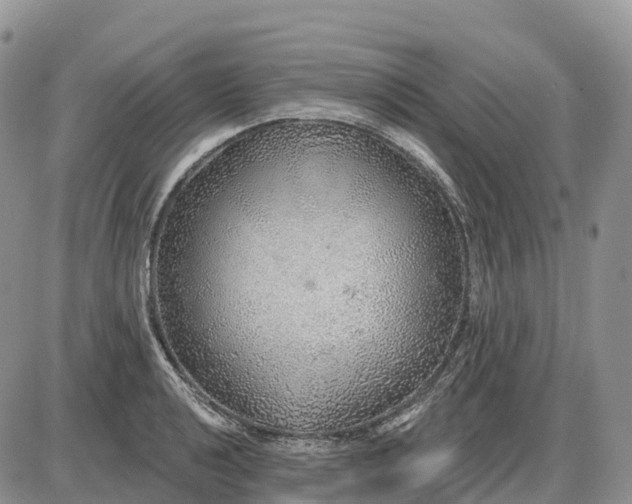 X0000085241040200703231619