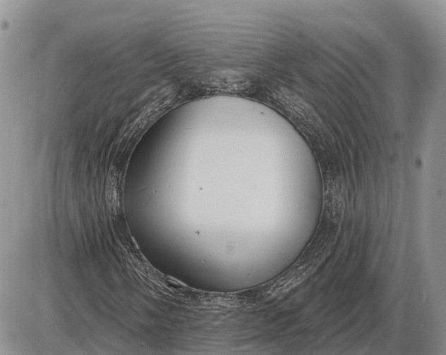X0000085241058200703231618