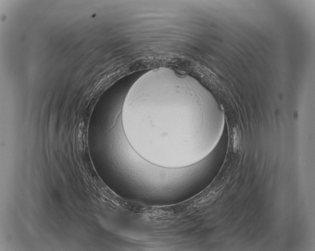 X0000085241059200703231618