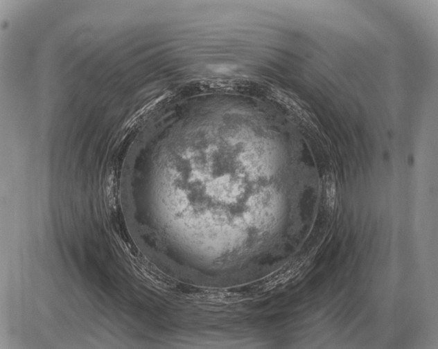 X0000085241060200703231618