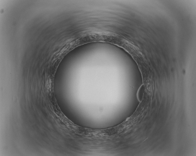 X0000085241061200703231618