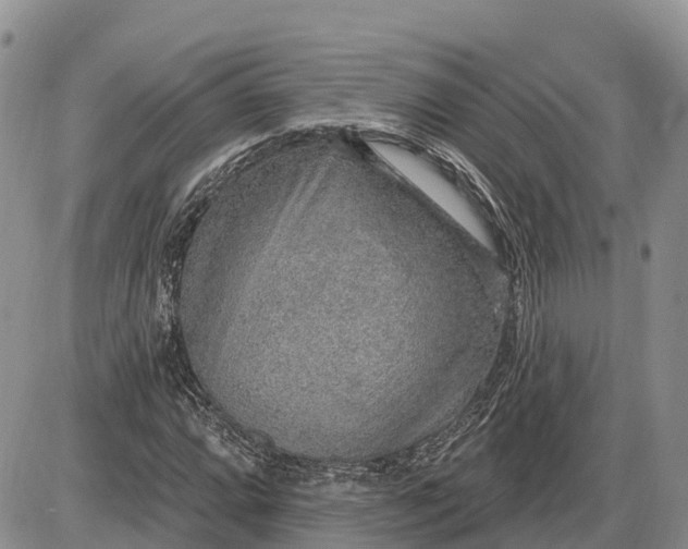 X0000085241064200703231618