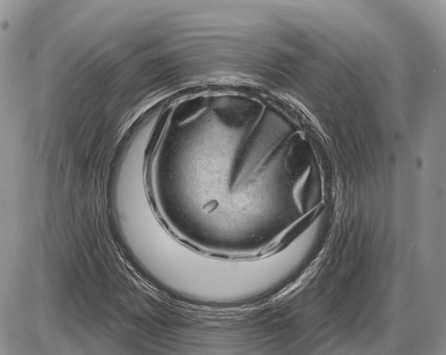 X0000085241065200703231618