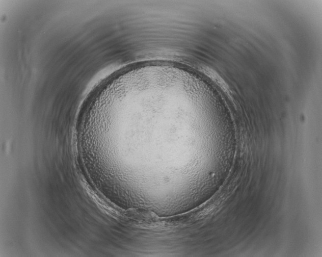 X0000085241072200703231618